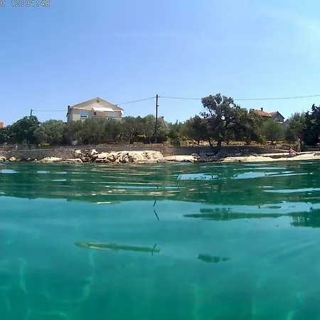 Golden Sunset Apps *