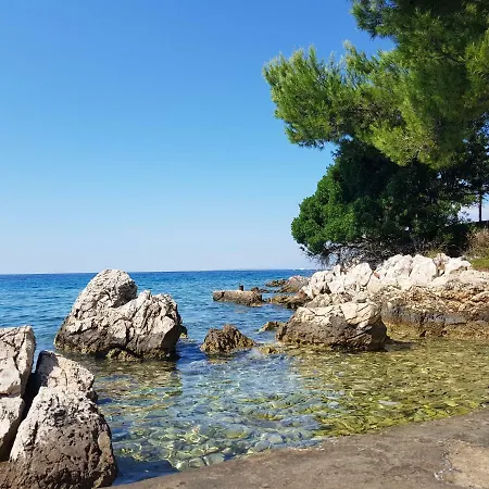 Golden Sunset Apps Ceprljanda